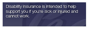 Law Firm Information